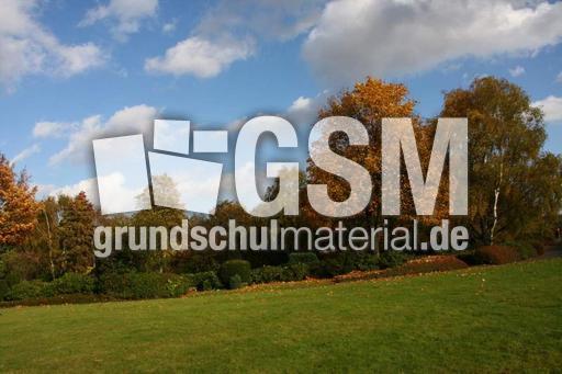 Herbststimmung-25-10-09 006.jpg